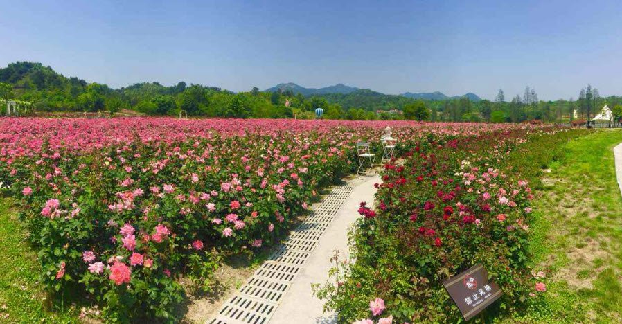 Shaanxi Xi'an Botanical Garden, China